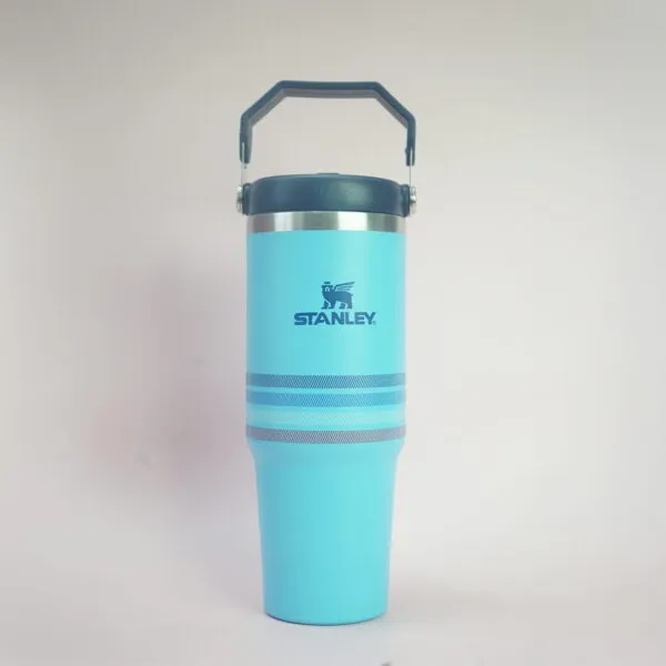 Stanley IceFlow 900 mL Stainless Steel Vacuum Sipper Bottle with Handle